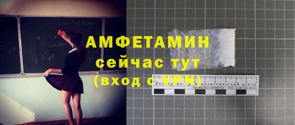 индика Щучье