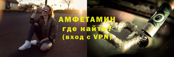 амф Щигры