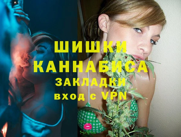 шишки Гвардейск