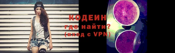 индика Щучье