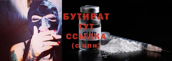 индика Щучье