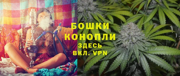 амф Щигры
