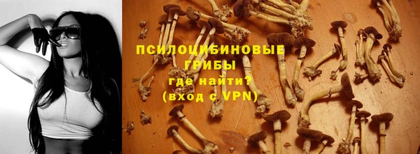 не бодяженный Няндома