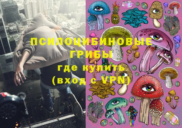 индика Галич