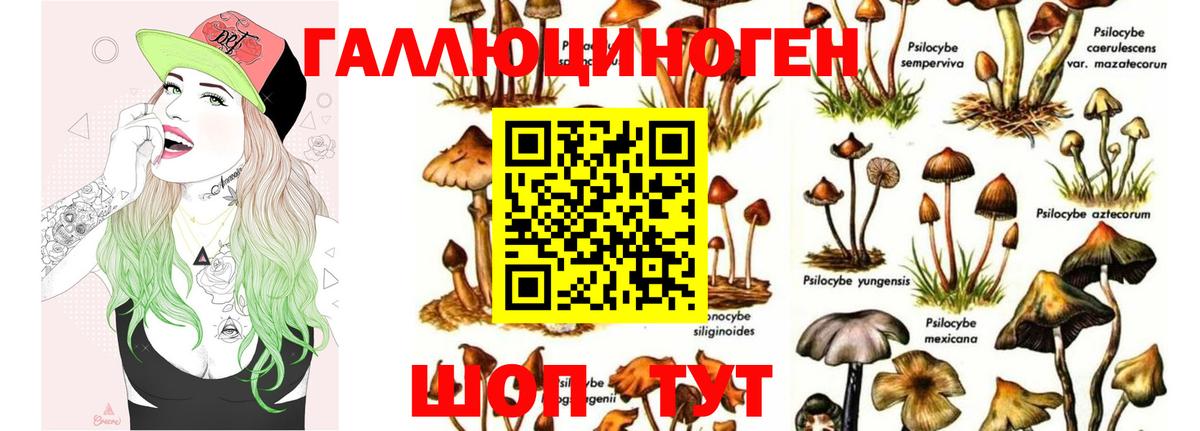 Галлюциногенные грибы ЛСД  Галлюциногенные грибы Psilocybe  Балтийск  Вход с VPN 